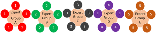 A diagram of “Expert Group A” to “Expert Group E” with surrounding numbered circles from 1 to 5.