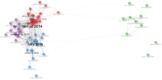 A scatter plot showing a citation network by publications with nodes and connections.