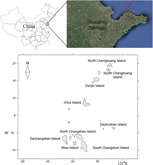 Figure 1 Refer to the image caption for details.