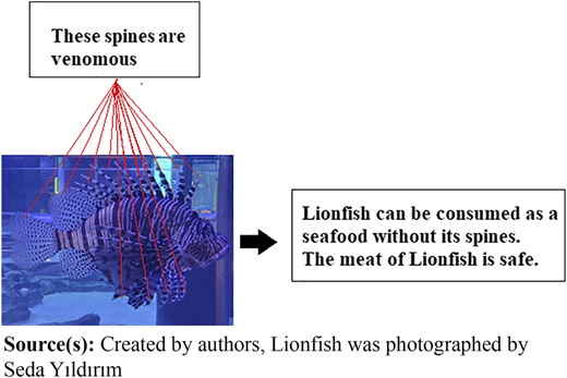 Figure 2 Refer to the image caption for details.