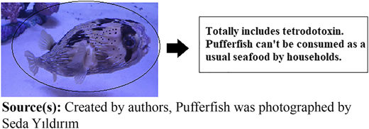 Figure 3 Refer to the image caption for details.