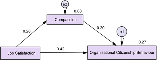 Figure 3 Refer to the image caption for details.