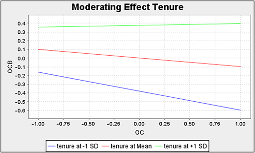 A multiple-line graph showing the moderating effect of tenure.