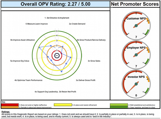 A dashboard shows a radar chart and three “Net Promoter Scores” gauges for Customer, Employer, and Investor.