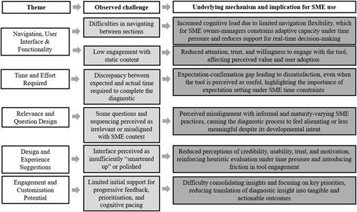 A three-column flowchart maps research themes to observed challenges and their underlying implications for S M E use.