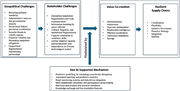 A diagram of an integrated framework for value co-creation and resilient supply chains.