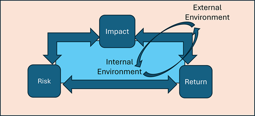 A conceptual relationship diagram links risk, impact, and return within internal and external environments.