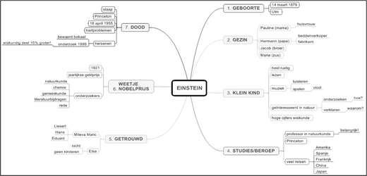 A detailed mind map in Dutch detailing the life of EINSTEIN (Albert Einstein), structured into seven main branches.