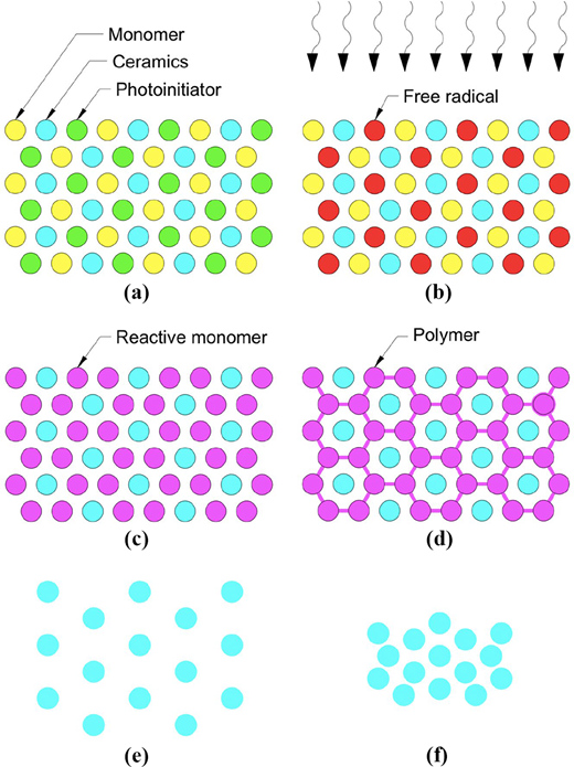 Figure 1 Refer to the image caption for details.