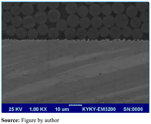 Figure 1 Refer to the image caption for details.