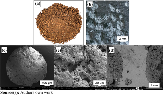 Figure 1 Refer to the image caption for details.