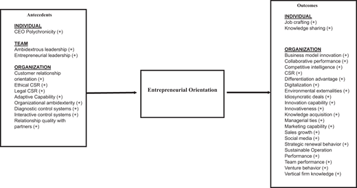 A diagram showing antecedents at individual, team, and organisation levels leading to entrepreneurial orientation and resulting outcomes at both levels.