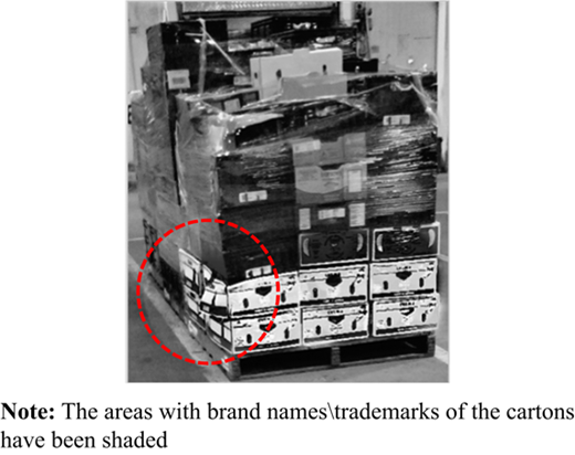 Figure 6 Refer to the image caption for details.