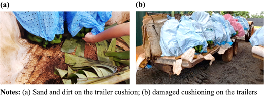Plate 1 Refer to the image caption for details.