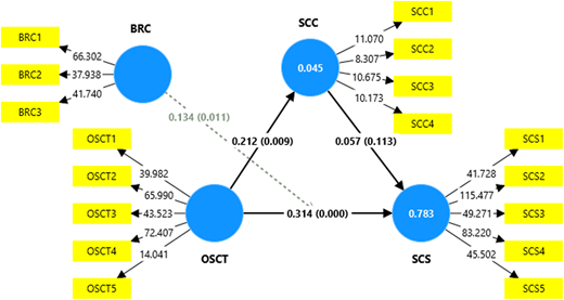 A path diagram shows B R C, O S C T, S C C, and S C S with indicators and path coefficients.