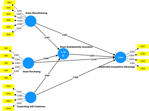 A figure shows paths from green practices to green ambidexterity innovation and sustainable competitive advantage.
