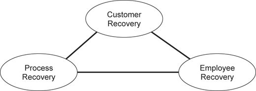 Figure 1 Refer to the image caption for details.