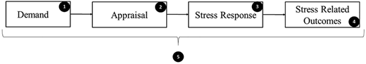 Figure 3 Refer to the image caption for details.