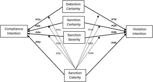 A diagram illustrating a dual-pathway framework for the influence of sanctions in cybersecurity.
