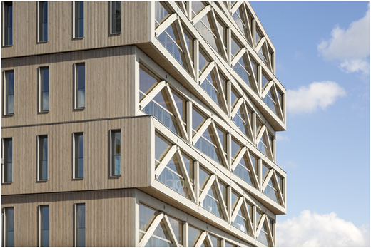 A photograph shows a modern building façade with timber cladding and exposed diagonal structural bracing behind glass.