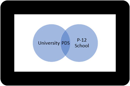 Figure 1 Refer to the image caption for details.
