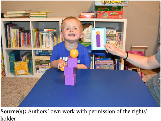 Figure 2 Refer to the image caption for details.