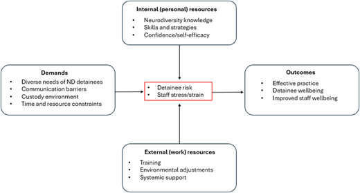 A conceptual diagram shows how demands and resources shape risk and stress, leading to practice and wellbeing outcomes.