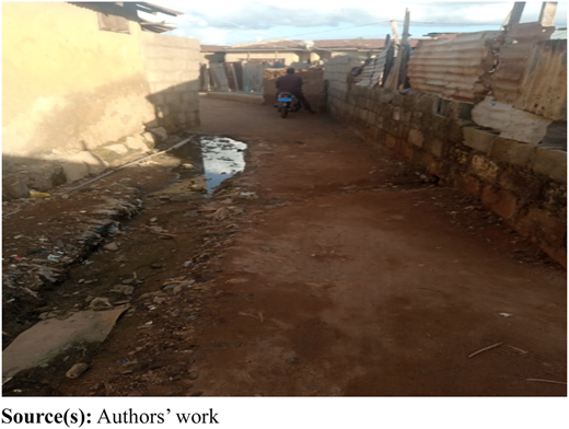 Figure 4 Refer to the image caption for details.