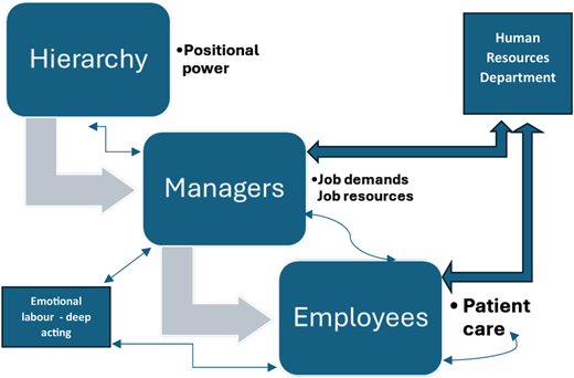 A conceptual model shows the relationships between Hierarchy, Managers, Employees, H R Department, and Patient care.