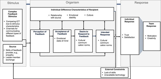The figure represents avenues for future research on virtual feedback.