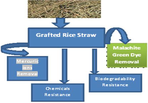Figure. Refer to the image caption for details.