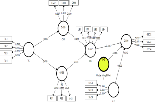 A path model shows T C, C M, P S, L B, S L C, and G E O links with coefficients.