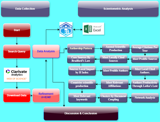 A flowchart outlines a bibliometric study workflow from data collection and refinement to scientometric analysis and final discussion.