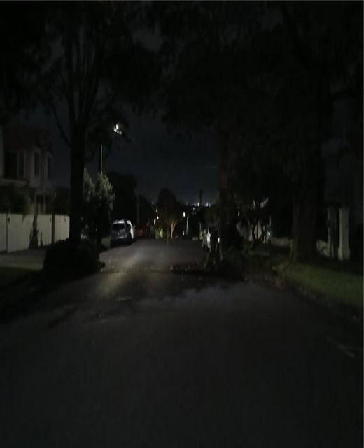 A dark residential street contains parked vehicles, trees, houses, a streetlight and a planted traffic island in the road.