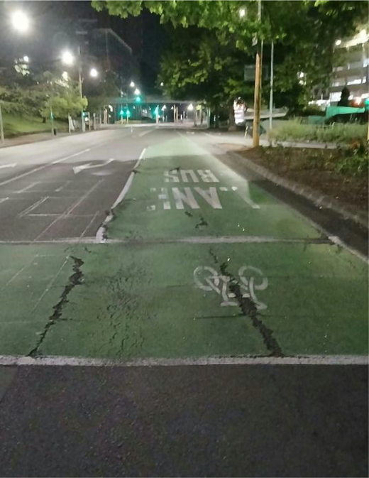 A night-time cycle lane contains bicycle and lane markings, cracked surfaces, streetlights, trees, pavements and traffic signals ahead.