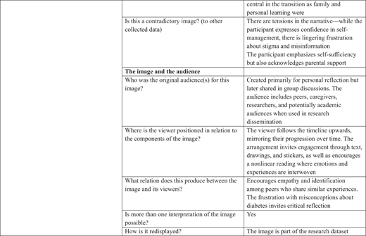 A table section describes audience interpretation, viewer engagement, and redisplay details for a participant timeline image used in research.