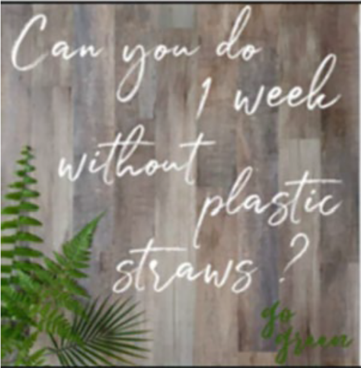A message on a wooden background asking if one can spend a week without plastic straws, accompanied by green plant foliage.