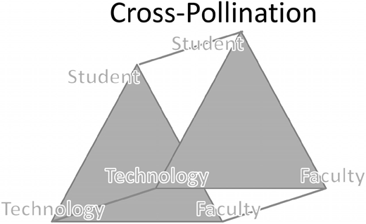 Cross-Pollination title, overlapping triangles labeled Student, Technology, Faculty repeated in different positions and orientations.