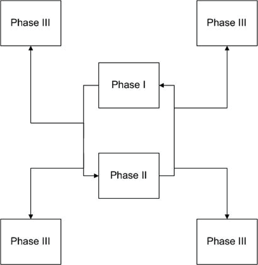 Flowchart with Phase I leading to Phase II, each connecting outward to four separate Phase III boxes positioned at the corners.