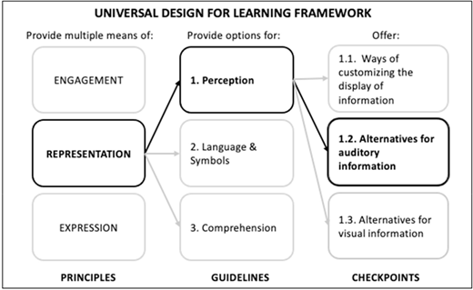 A diagram shows the UDL framework with three principles Engagement, Representation, and Expression highlighting Checkpoint 1 point 2 under Representation: Offer Alternatives for Auditory Information.