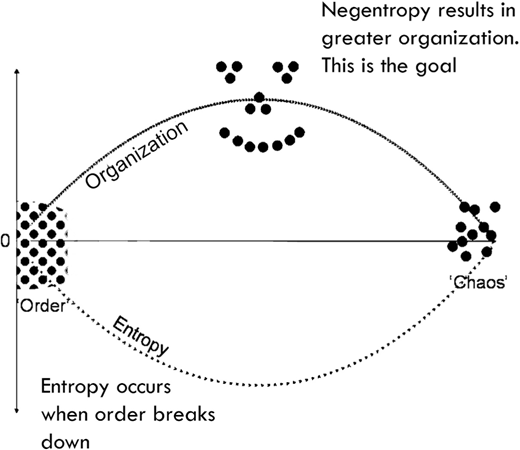 A conceptual diagram shows a horizontal axis from Order to Chaos intersected by a vertical line at 0, with two arcs labeled Organization and Entropy, dot clusters forminga smiley face, and explanatory text on both sides.