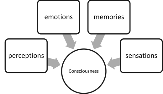 A conceptual diagram shows four rectangular boxes labeled Emotions, Memories, Sensations, and Perceptions with arrows pointing toward a central circle labeled Consciousness.