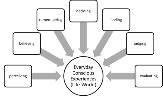 A conceptual diagram shows seven rectangular boxes labeled perceiving, believing, remembering, deciding, feeling, judging, and evaluating with thick arrows pointing toward a central circle labeled Everyday Conscious Experiences Life World.