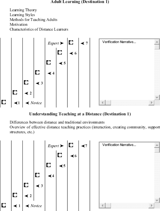 Adult learning chart with novice-to-expert scale and space for verification narrative.