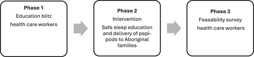 A figure illustrates the three steps involved in the study being conducted.