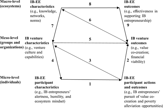 A multi-level framework linking I B E E participant, venture, and ecosystem characteristics to outcomes through 9 numbered paths.