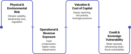 A diagram shows relationships between physical environmental risk, operational exposure, valuation and credit vulnerability.