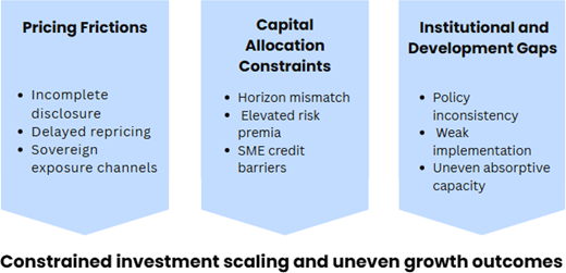 A diagram shows pricing frictions, capital allocation constraints and institutional development gaps with key factors.