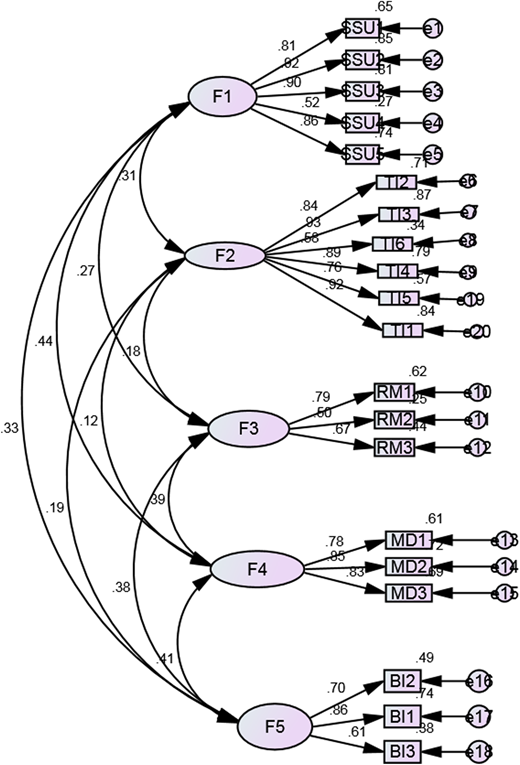 A diagram representing a confirmatory factor analysis for a measurement scale with five factors.