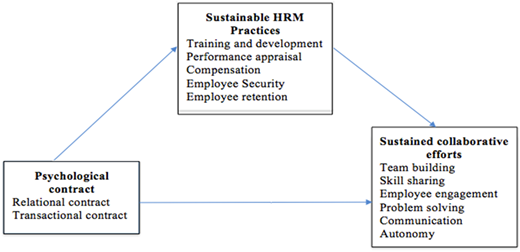 A conceptual model diagram illustrating the relationship between sustainable HRM practices, psychological contracts, and sustained collaborative efforts.